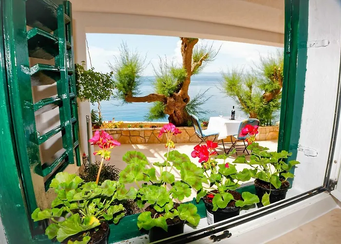 Studio Apartman Papic